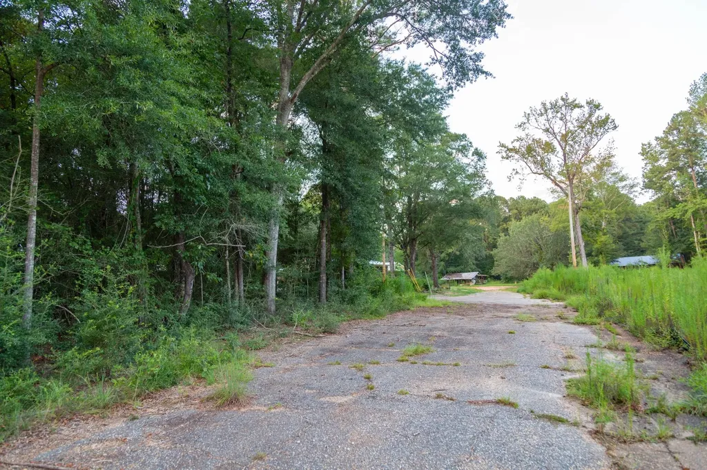0 Taylor Mill Road Elba AL 36323