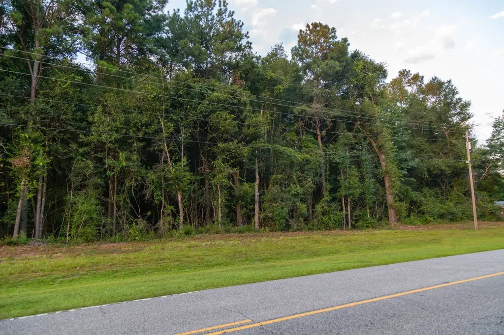 0 Taylor Mill Road Elba AL 36323