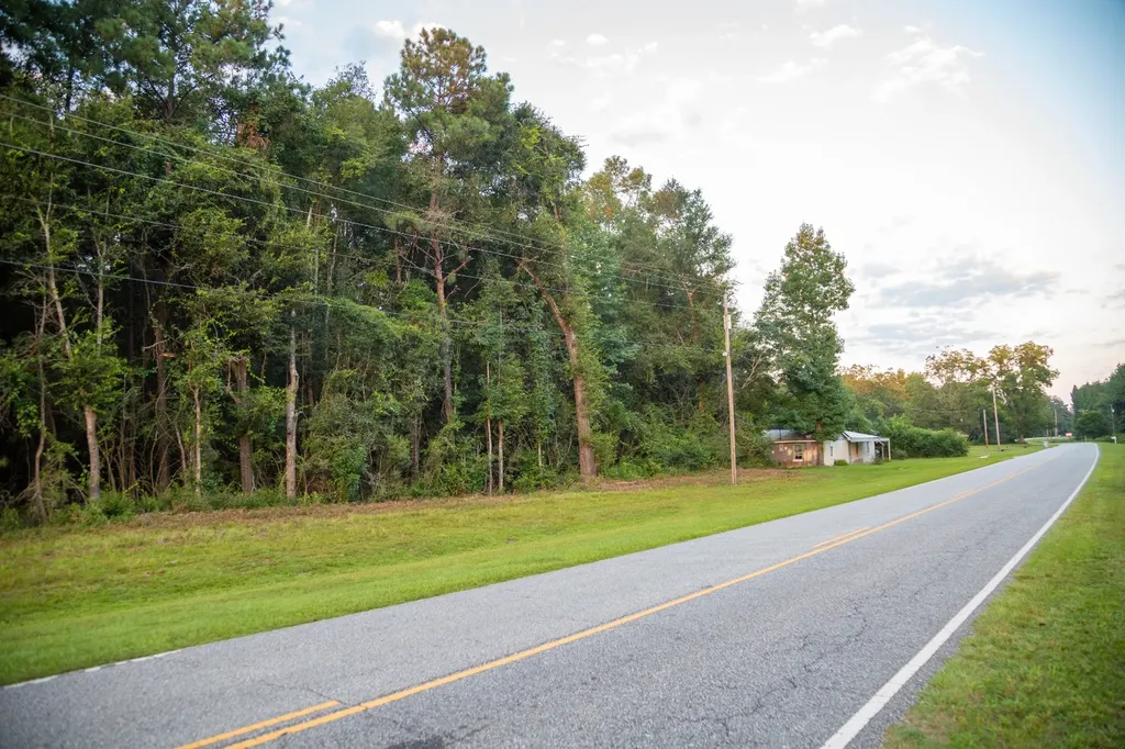 0 Taylor Mill Road Elba AL 36323