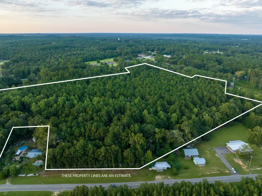 0 Taylor Mill Road Elba AL 36323