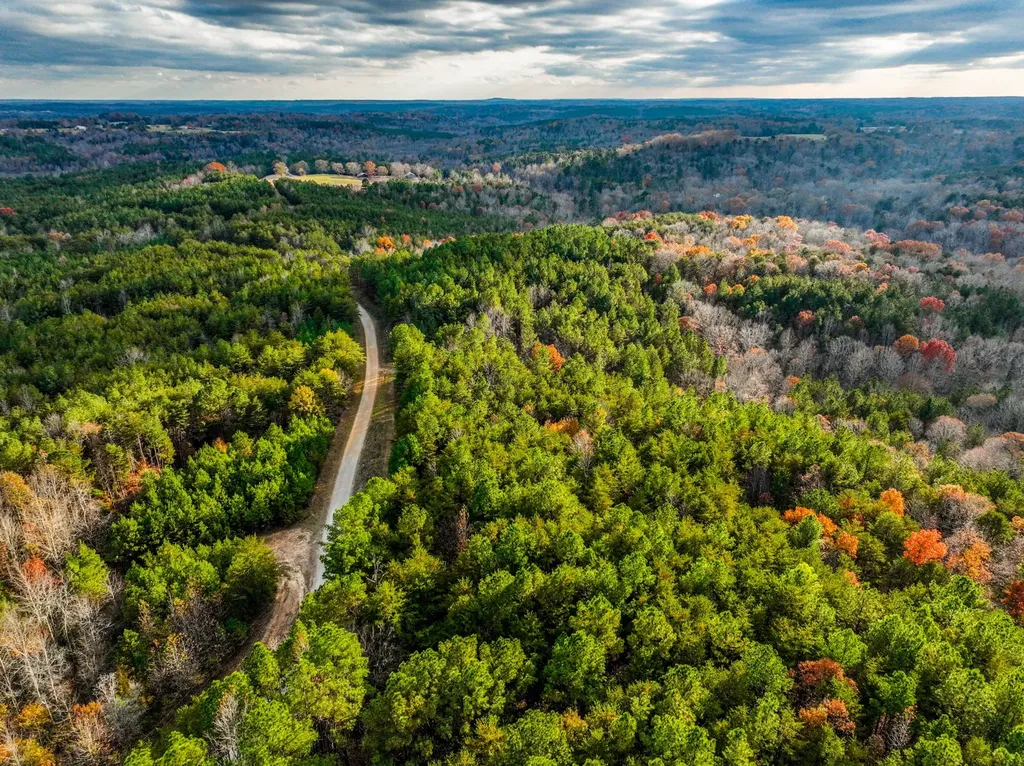 0 County Road 3217 Haleyville AL 35565