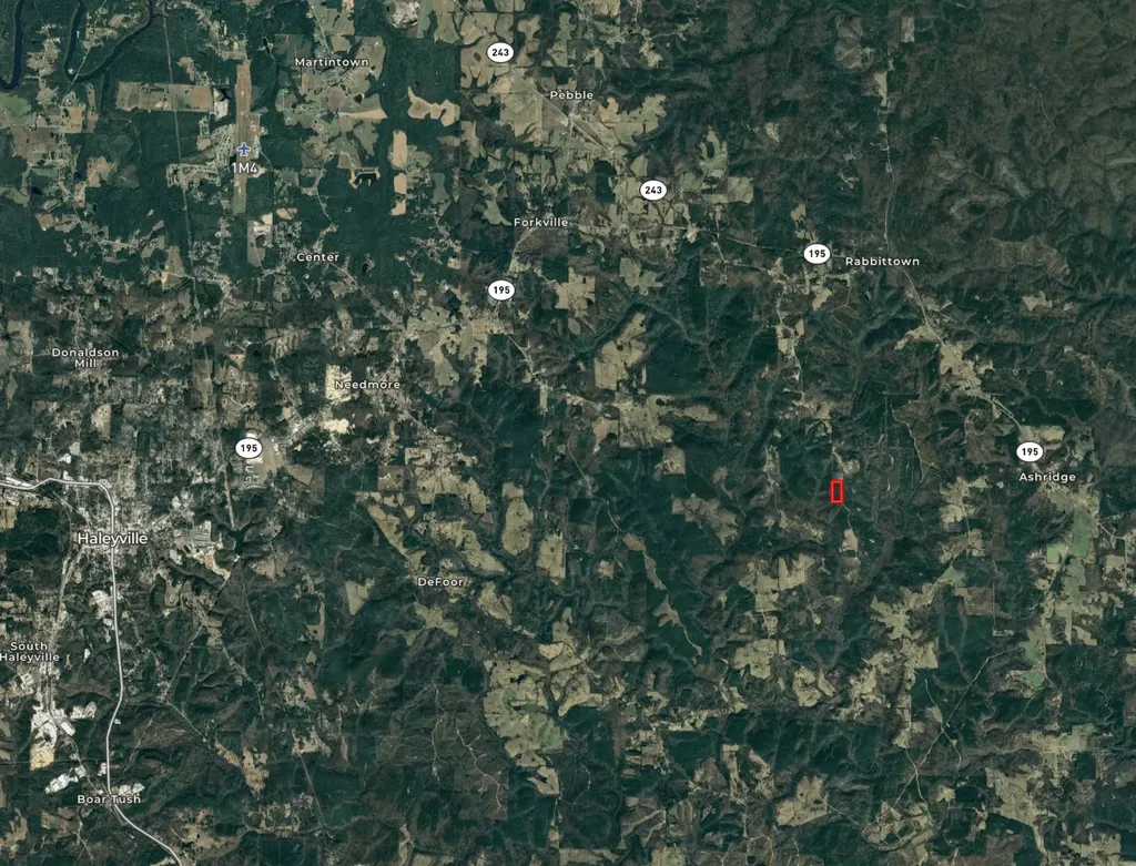 0 County Road 3217 Haleyville AL 35565