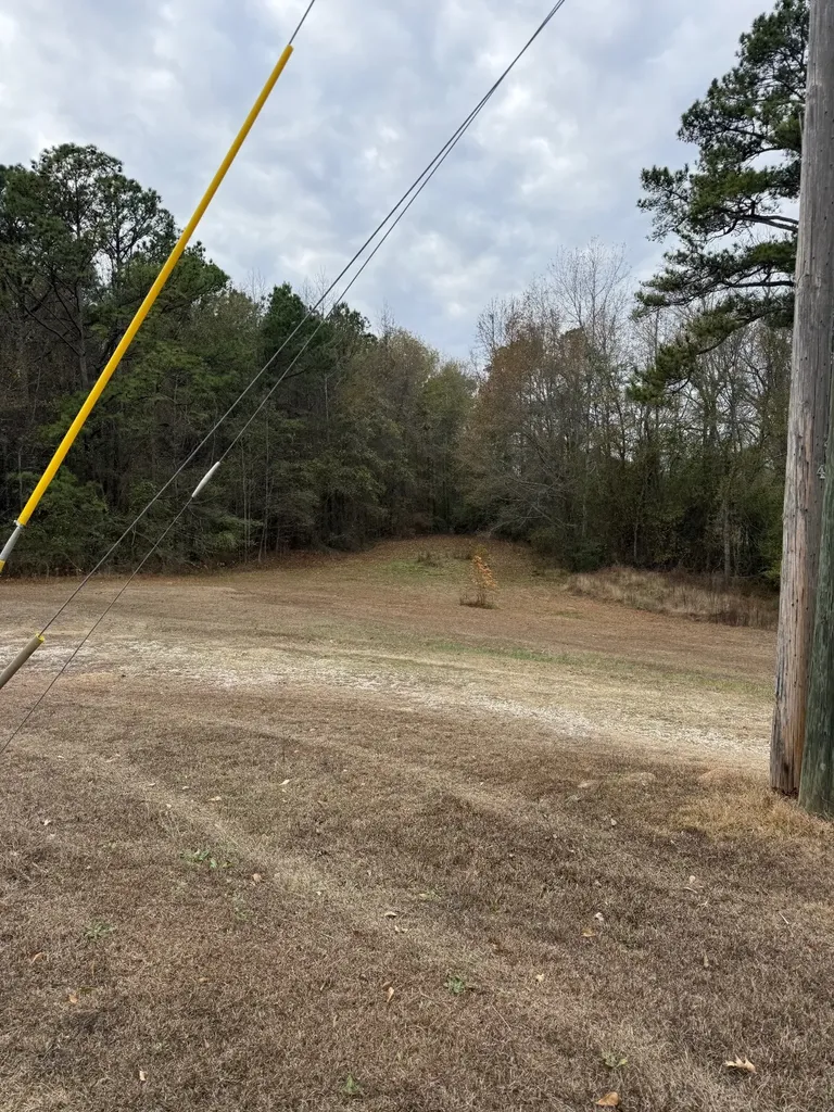 67 Lee Road 16 Auburn AL 36830
