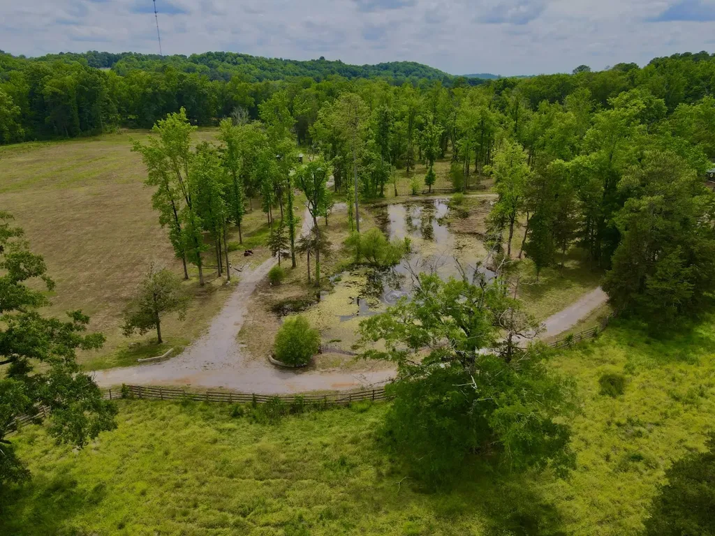 5343 A County Road 16 Montevallo AL 35115