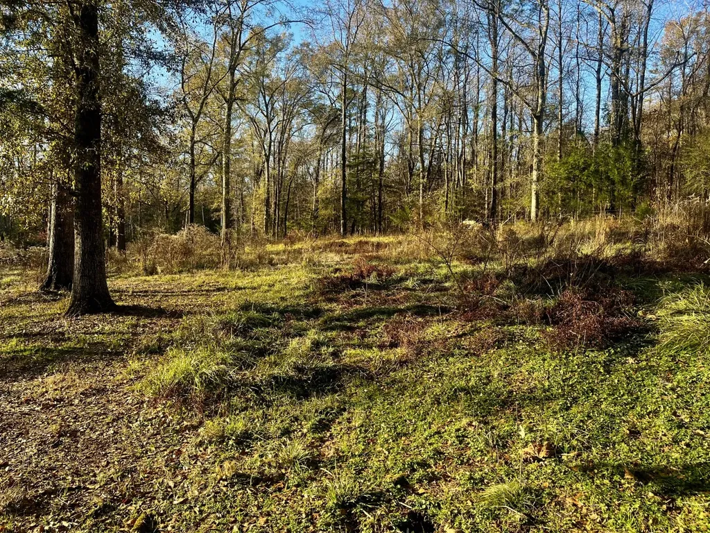 5343 A County Road 16 Montevallo AL 35115