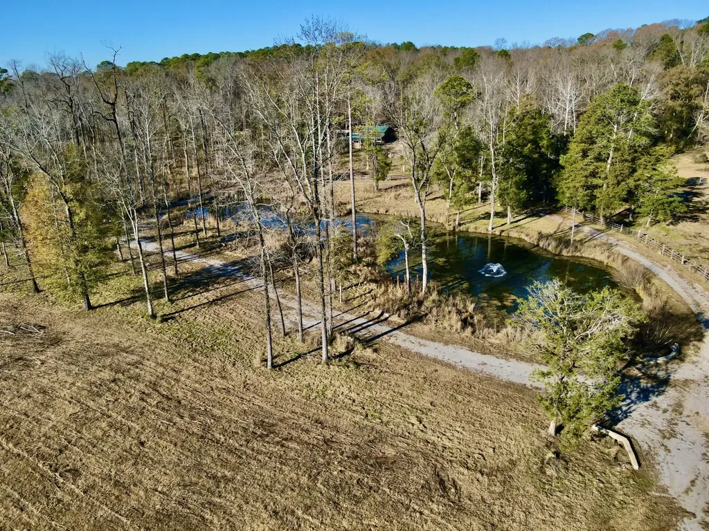 5343 A County Road 16 Montevallo AL 35115