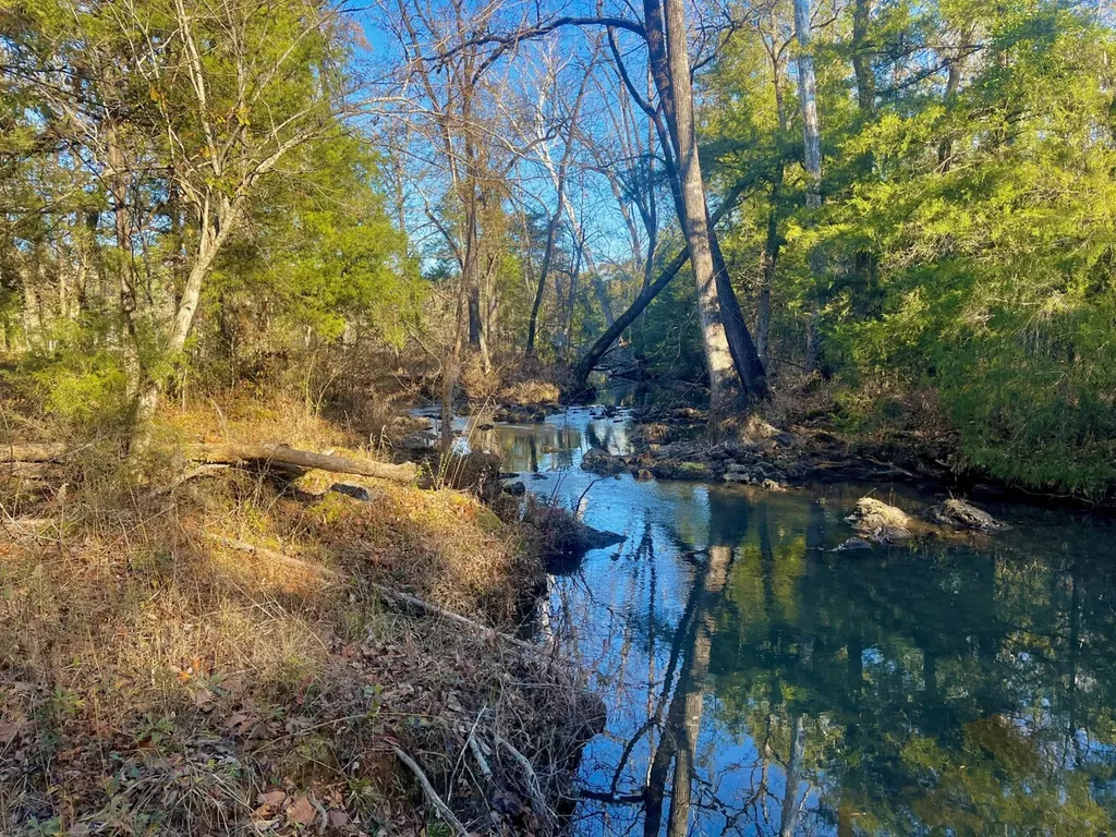 5343 A County Road 16 Montevallo AL 35115