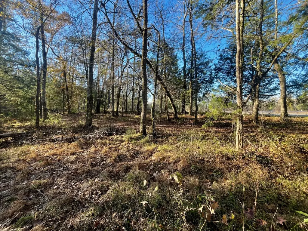 5343 A County Road 16 Montevallo AL 35115