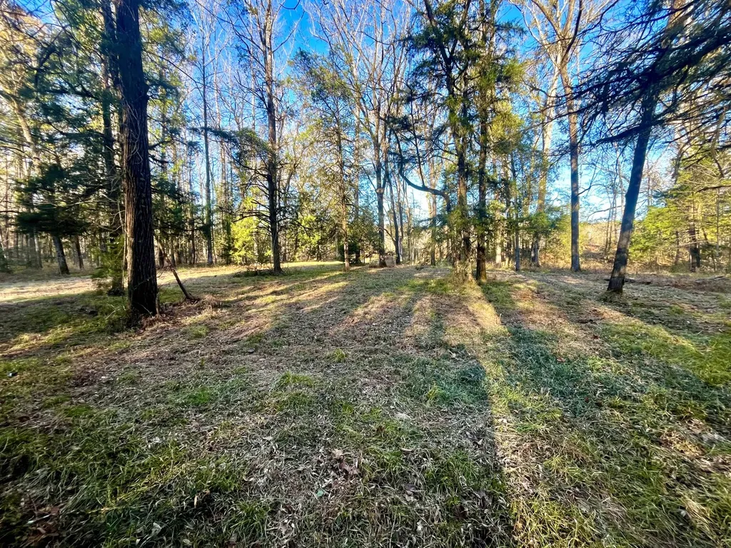 5343 A County Road 16 Montevallo AL 35115