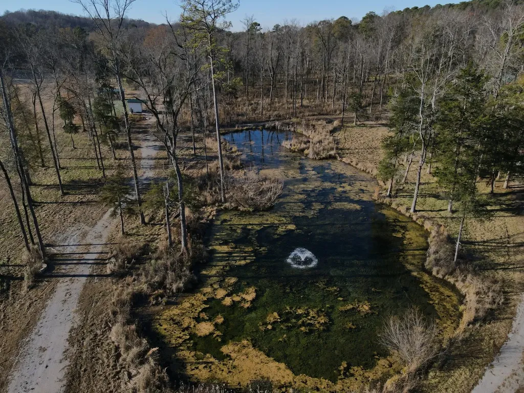 5343 A County Road 16 Montevallo AL 35115