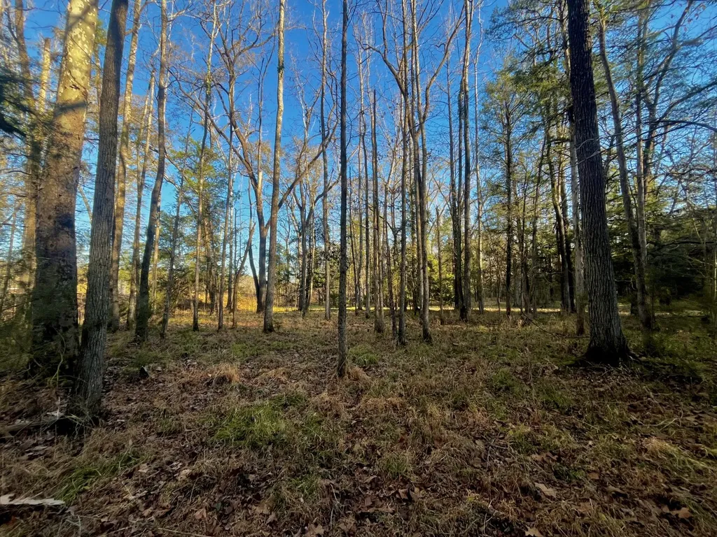 5343 A County Road 16 Montevallo AL 35115