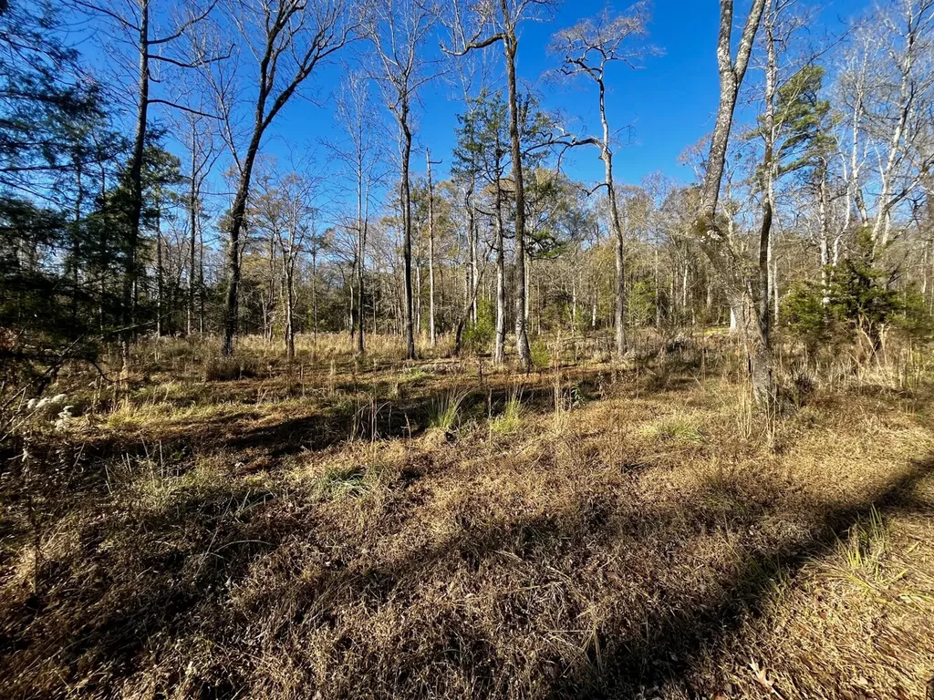 5343 A County Road 16 Montevallo AL 35115