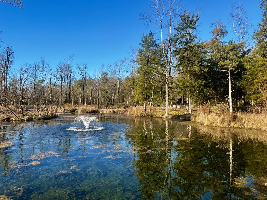 5343 A County Road 16 Montevallo AL 35115