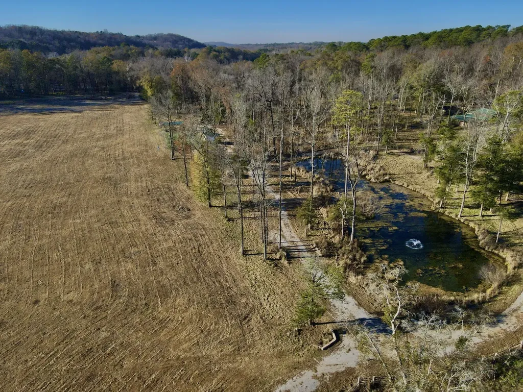 5343 A County Road 16 Montevallo AL 35115