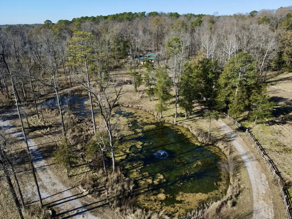 5343 A County Road 16 Montevallo AL 35115