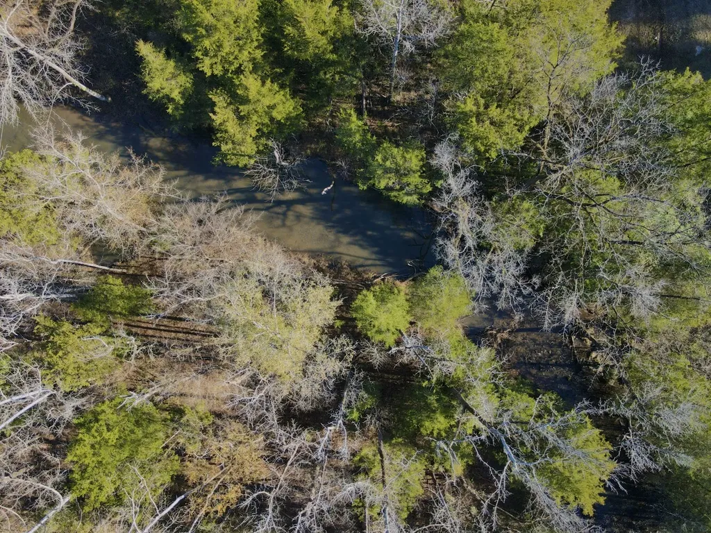 5343 A County Road 16 Montevallo AL 35115