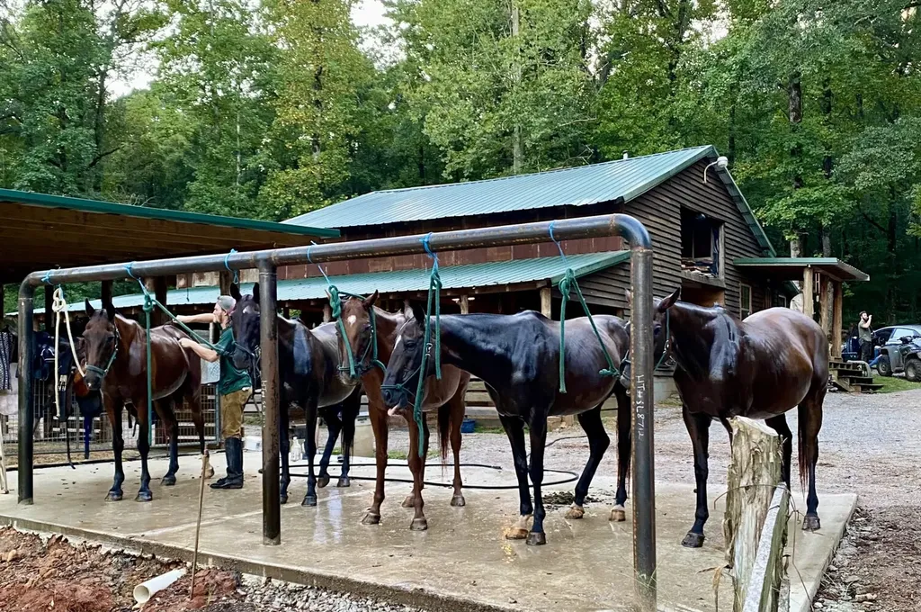 5343 A County Road 16 Montevallo AL 35115