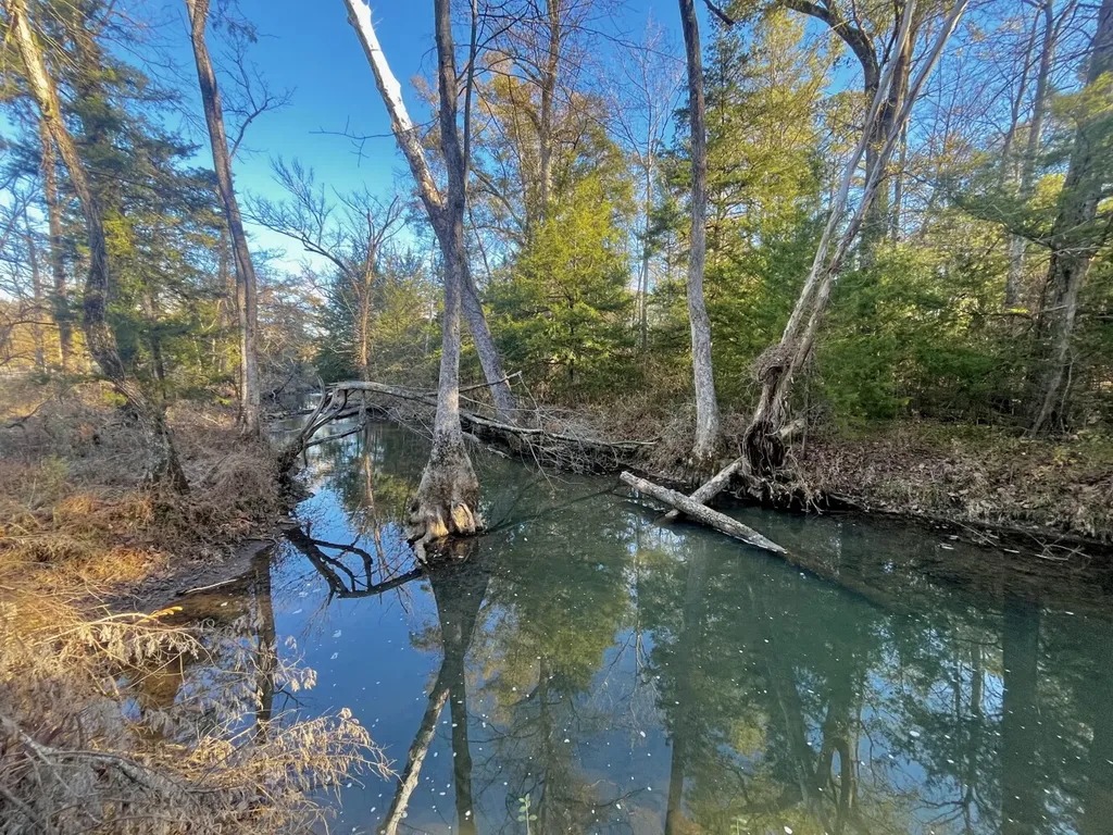 5343 A County Road 16 Montevallo AL 35115