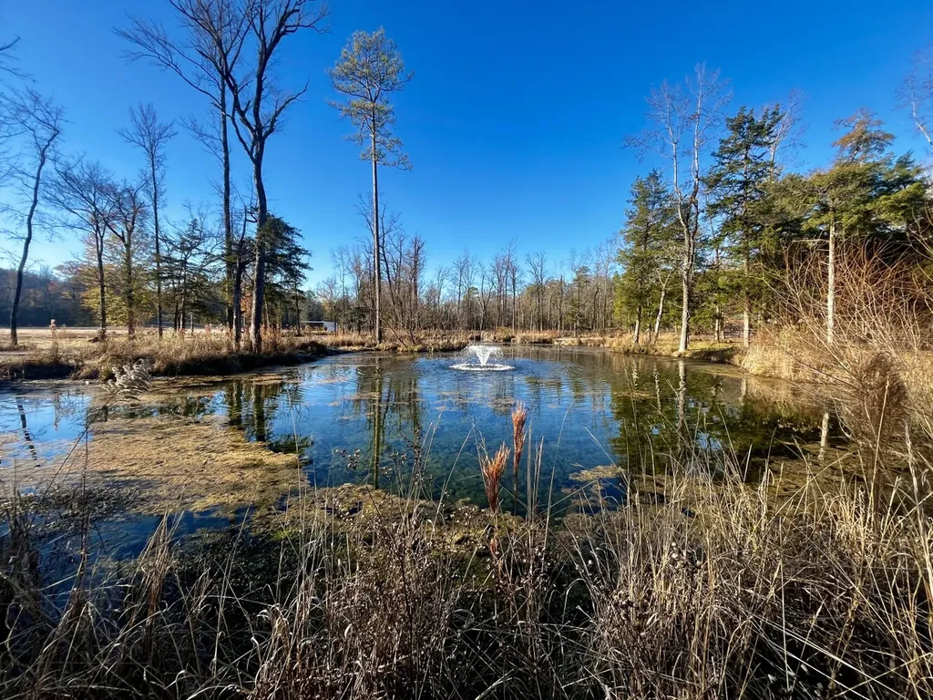 5343 A County Road 16 Montevallo AL 35115