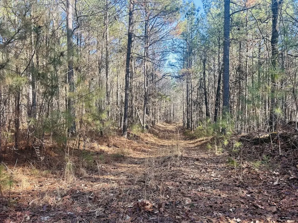 0 Bluff Springs Road Ashland AL 36251