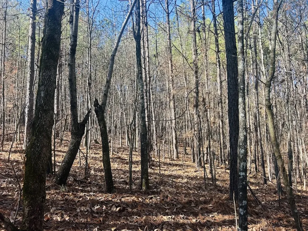 0 Bluff Springs Road Ashland AL 36251