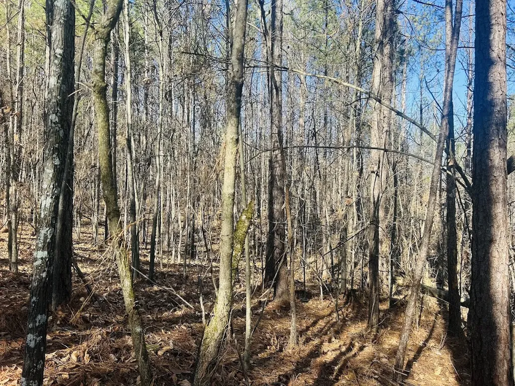 0 Bluff Springs Road Ashland AL 36251