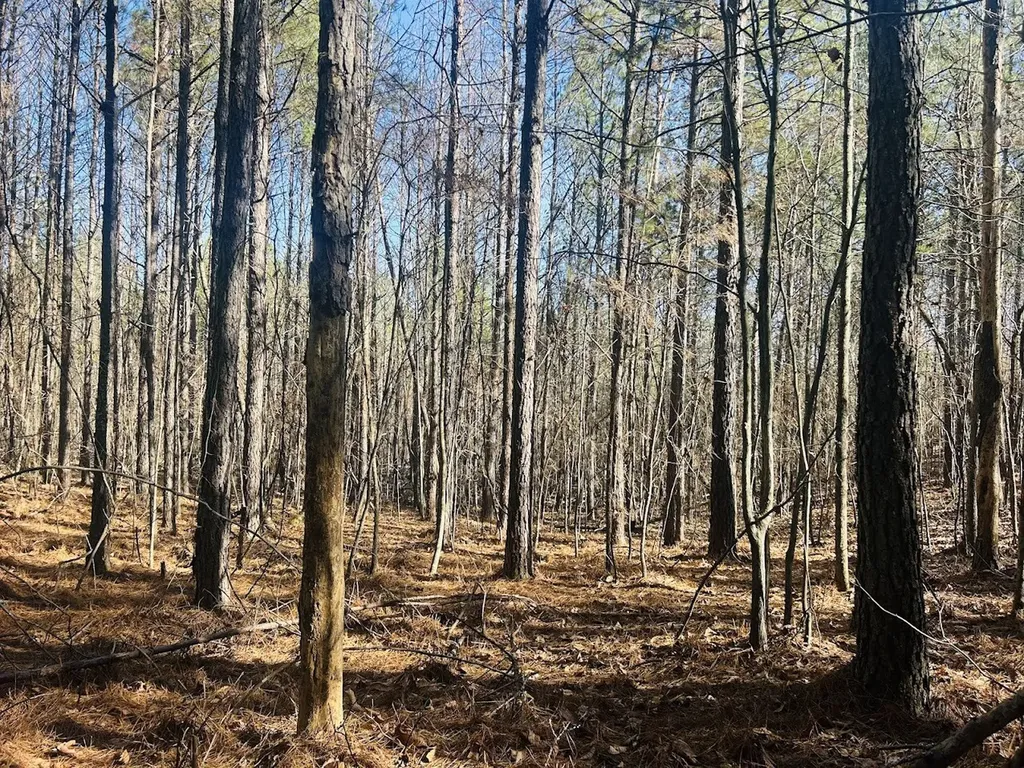 0 Bluff Springs Road Ashland AL 36251