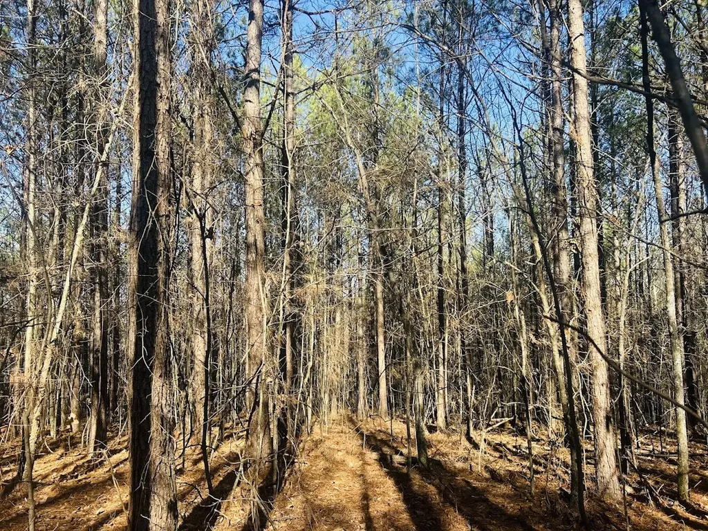 0 Bluff Springs Road Ashland AL 36251