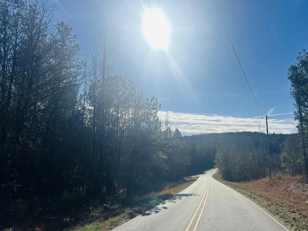 0 Bluff Springs Road Ashland AL 36251