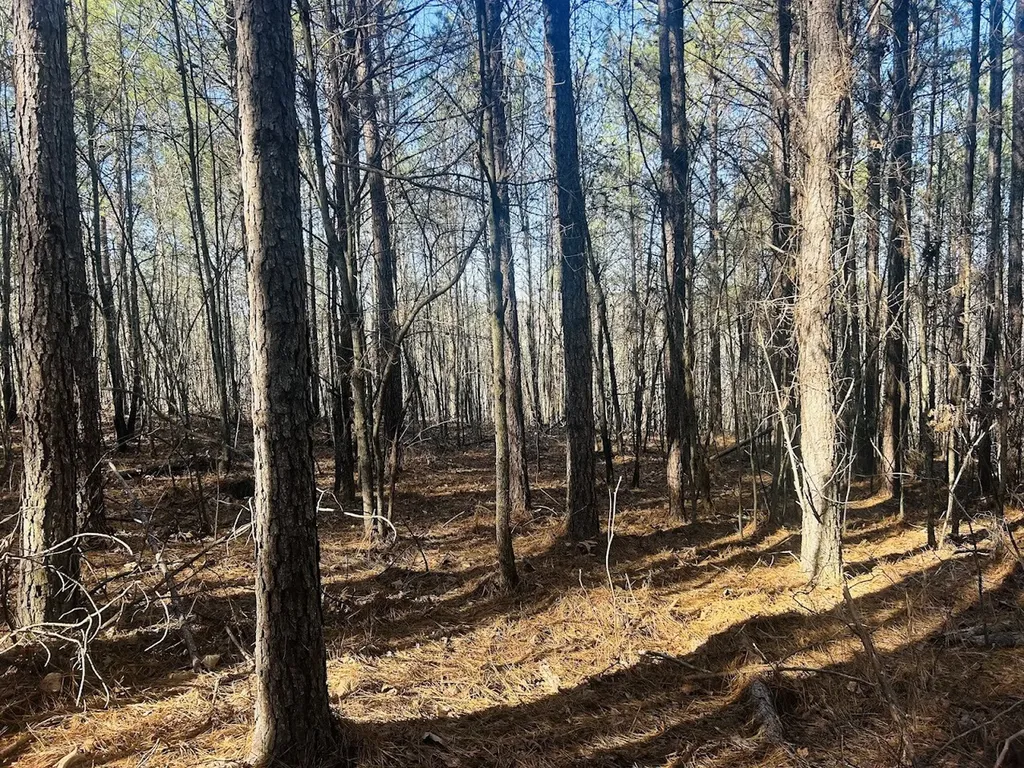 0 Bluff Springs Road Ashland AL 36251