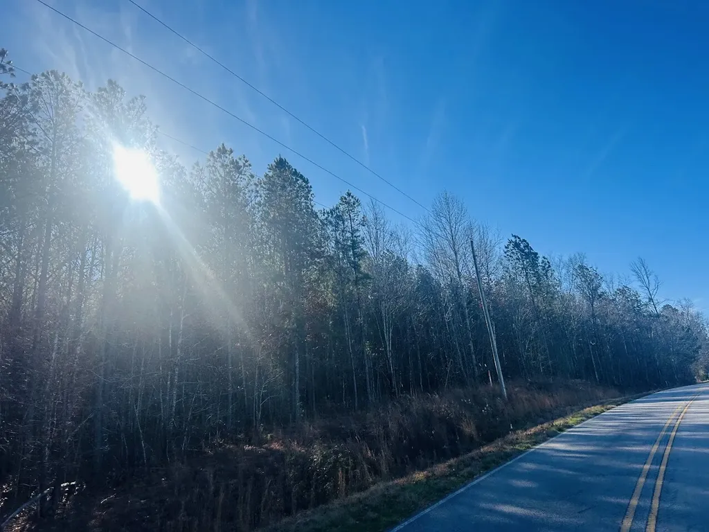 0 Bluff Springs Road Ashland AL 36251