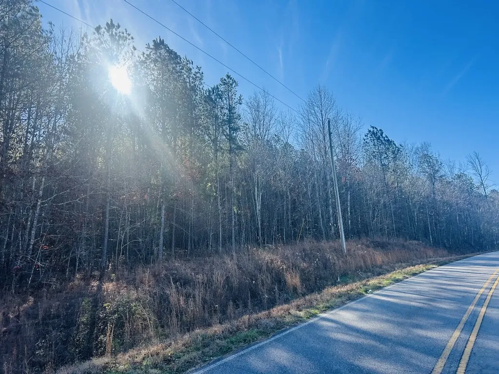 0 Bluff Springs Road Ashland AL 36251