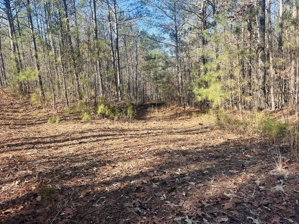 0 Bluff Springs Road Ashland AL 36251