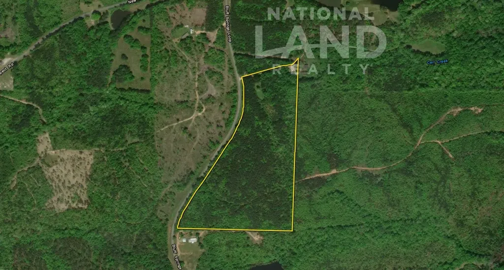 0 Bluff Springs Road Ashland AL 36251