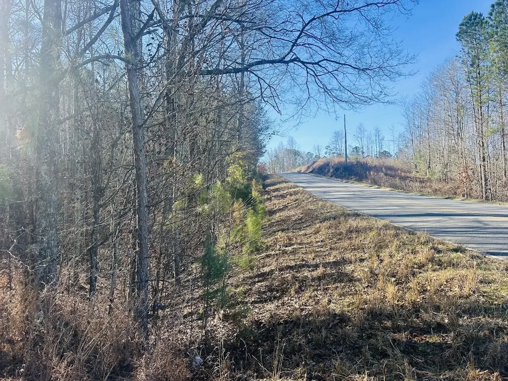 0 Bluff Springs Road Ashland AL 36251