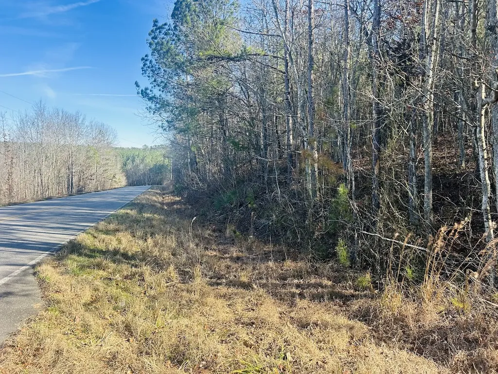 0 Bluff Springs Road Ashland AL 36251