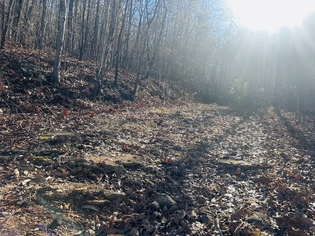 0 Bluff Springs Road Ashland AL 36251