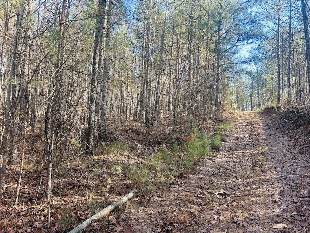 0 Bluff Springs Road Ashland AL 36251