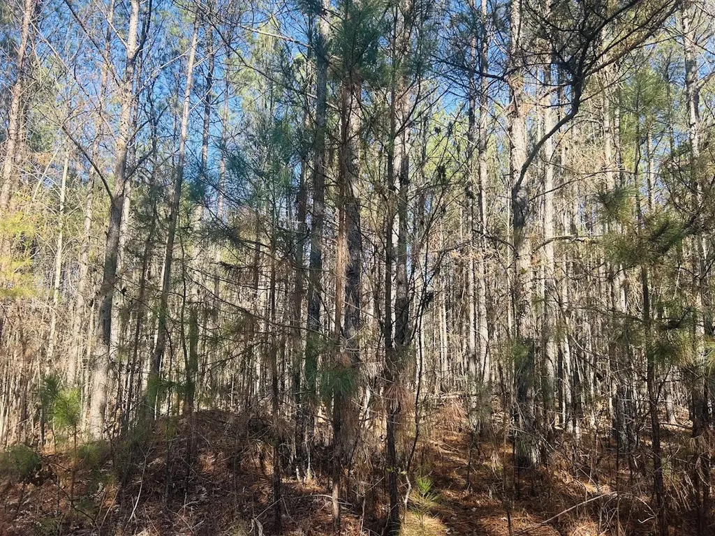 0 Bluff Springs Road Ashland AL 36251