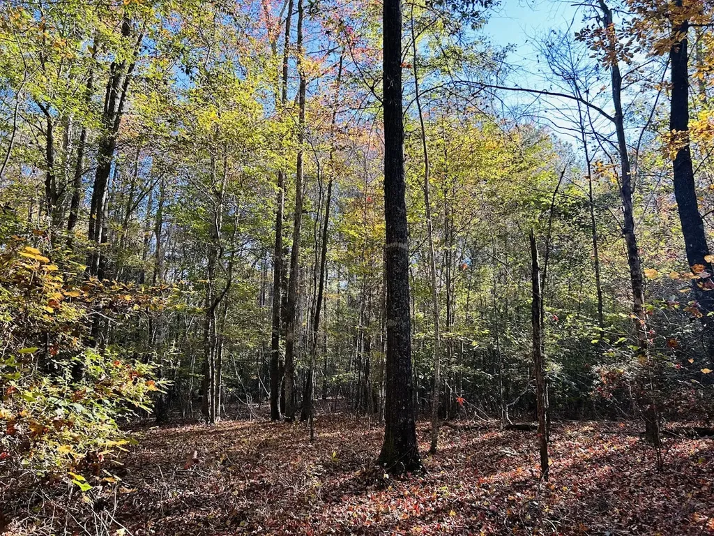 11 Lee Road 138 Opelika AL 36804