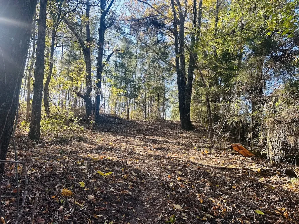 11 Lee Road 138 Opelika AL 36804