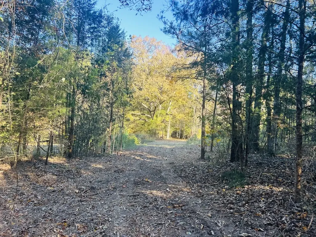 11 Lee Road 138 Opelika AL 36804