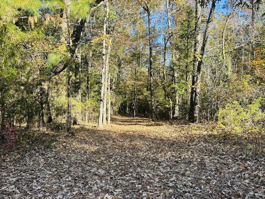 11 Lee Road 138 Opelika AL 36804