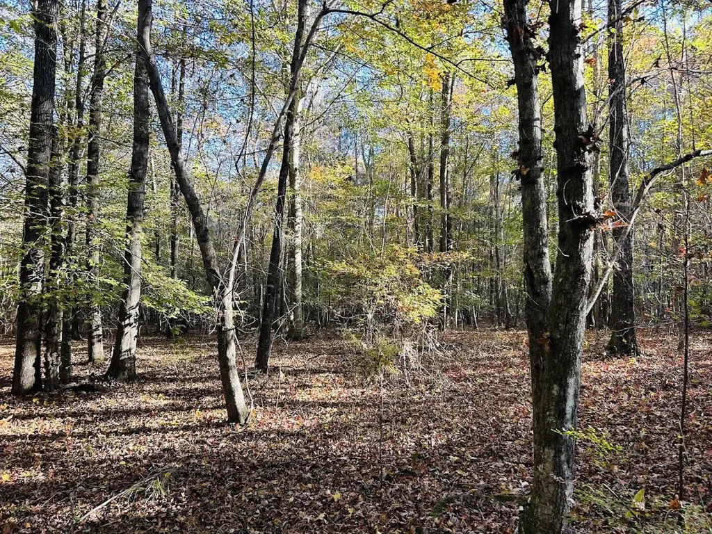 11 Lee Road 138 Opelika AL 36804