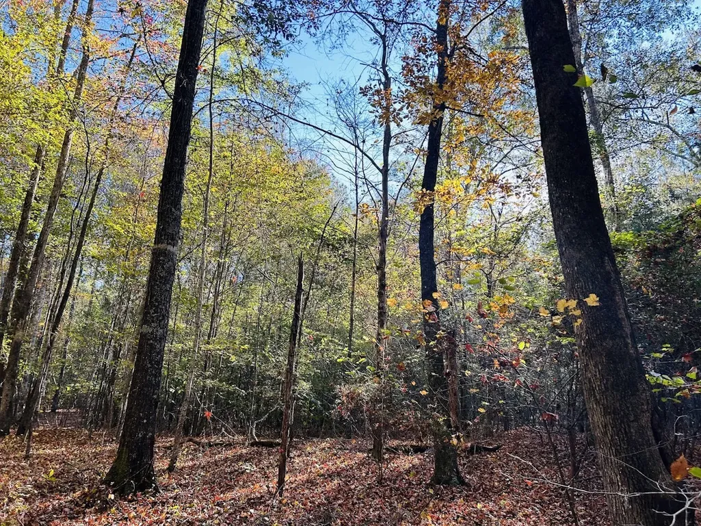 11 Lee Road 138 Opelika AL 36804