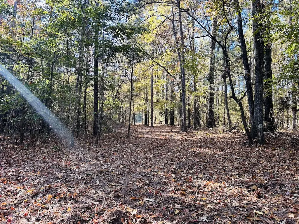 11 Lee Road 138 Opelika AL 36804