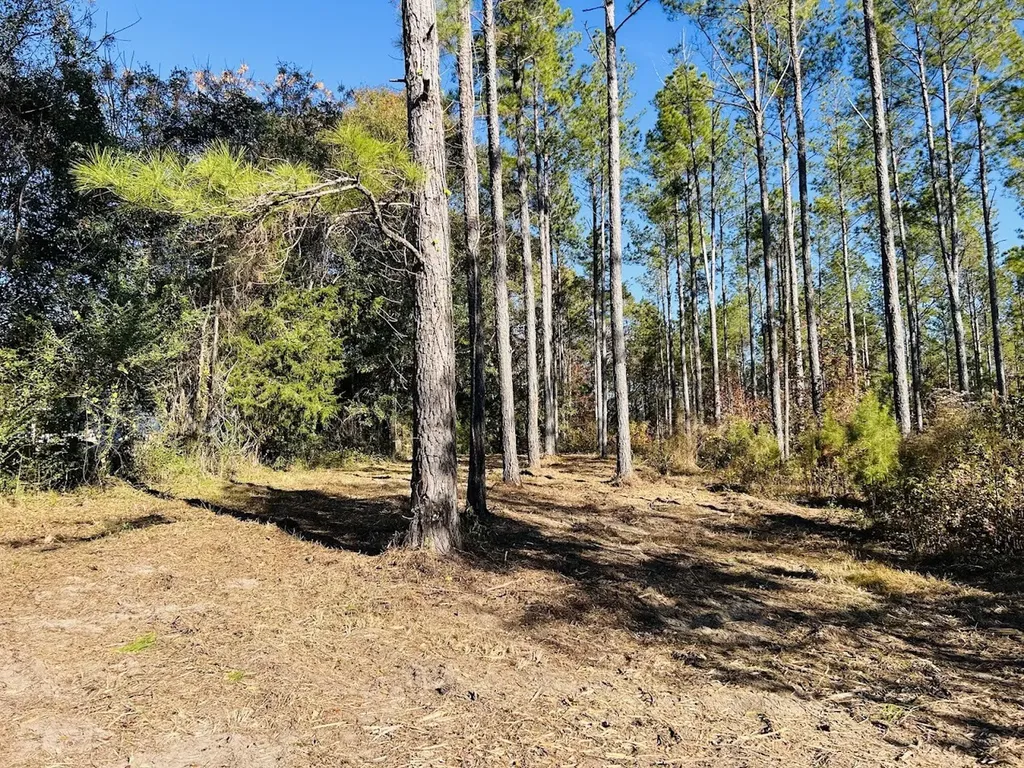 11 Lee Road 138 Opelika AL 36804