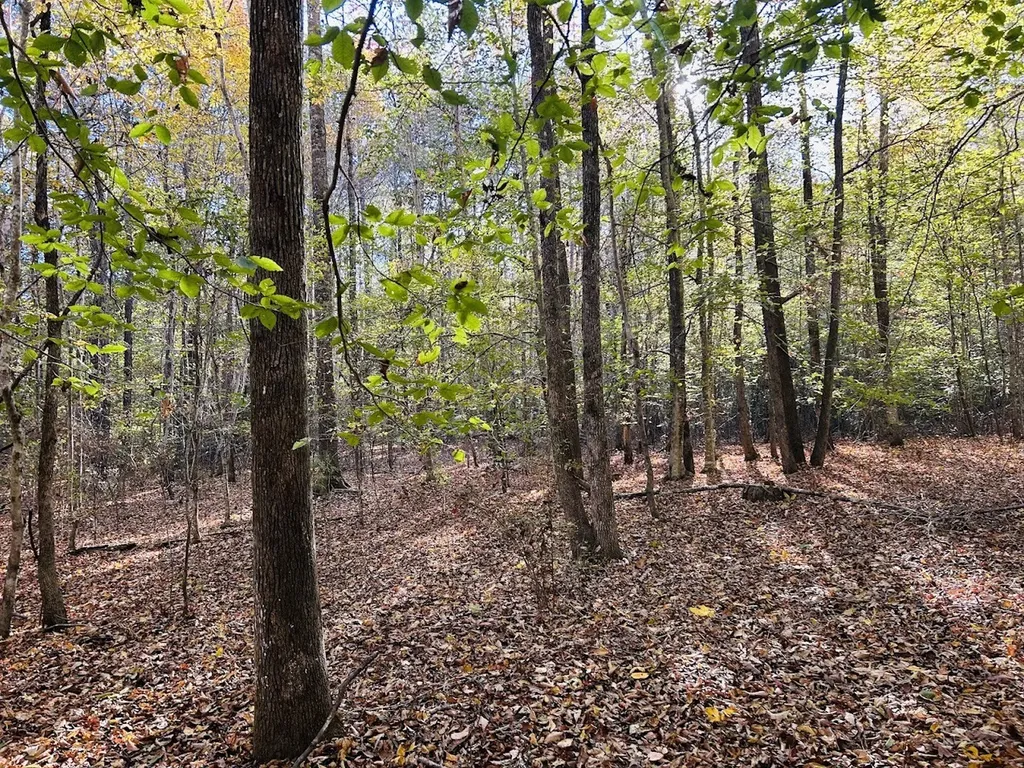 11 Lee Road 138 Opelika AL 36804