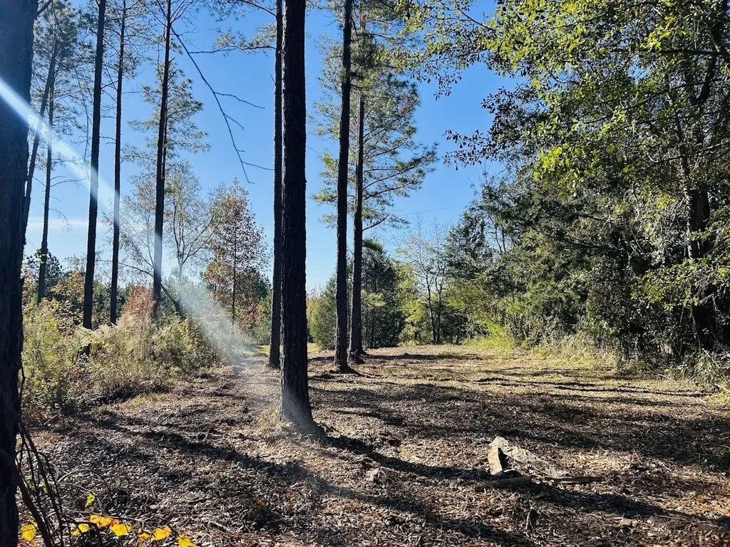 11 Lee Road 138 Opelika AL 36804