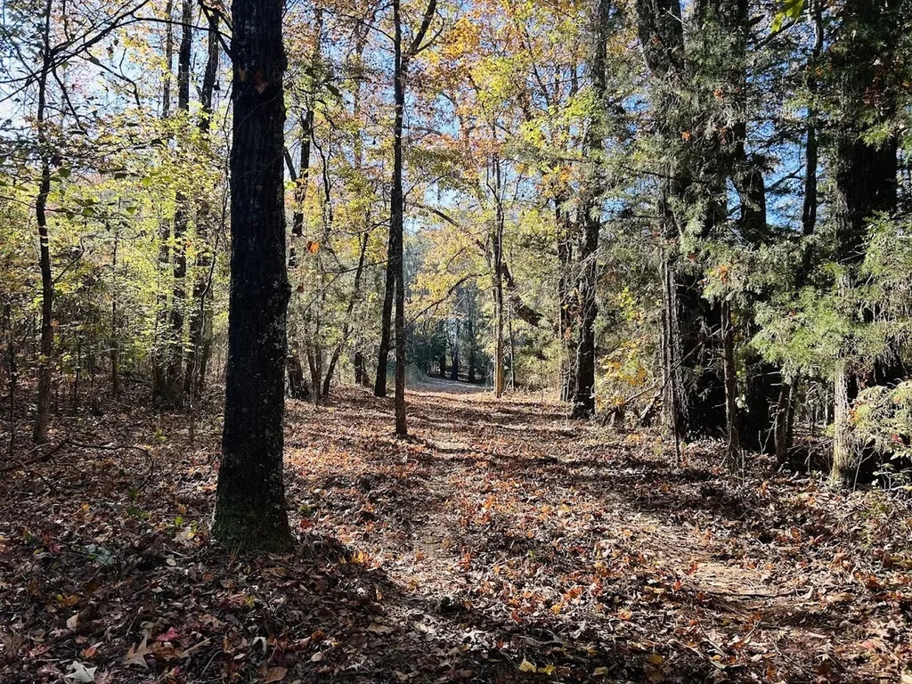 11 Lee Road 138 Opelika AL 36804